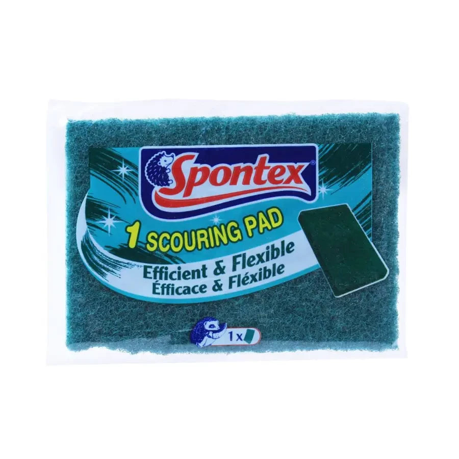 SPONTEX SCOURING SPONGE (L)