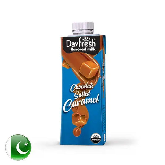 DAYFRESH FLAVOR MILK 225ML (CARAMEL)