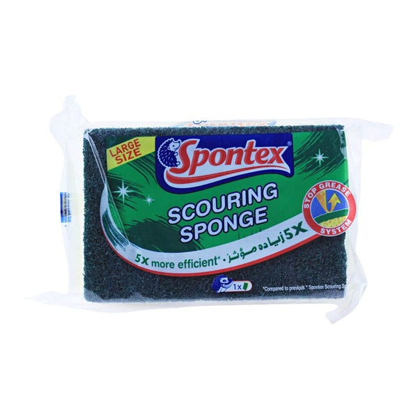 SPONTEX SCOURING SPONGE (L)