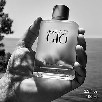 ACQUA DI GIO MEN EDT 100ML