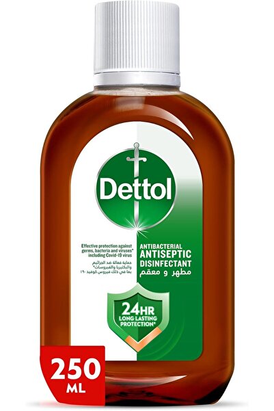 DETTOL LIQUID 250ML (ORG)