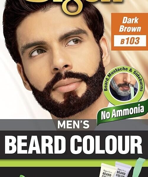 BIGEN BEARD COLOR 103