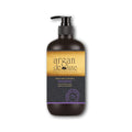 ARGAN DELUXE H-L CONTROL SHAMPOO 300ML