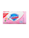 SAFEGUARD FLORAL SCENT 175G