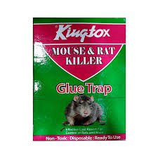 KINGTOX GLUE TRAP BOOK