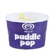 WALLS PADDLE POP 100ML VANILLA CUP